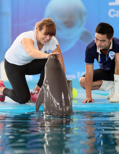 仿佛被进一 仿佛被进一